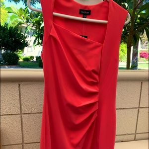 Beautiful Bebe  dresses for a women.